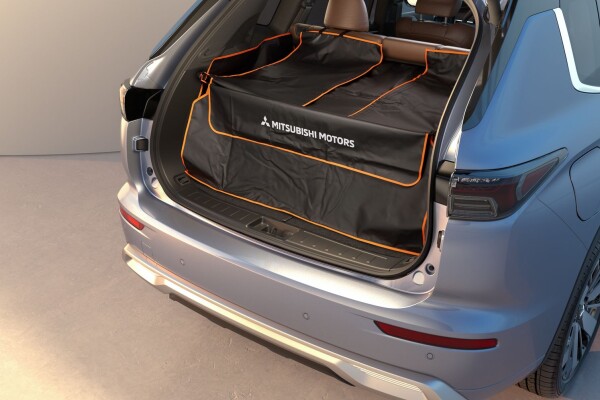 ЗАХИСТ БАГАЖНОГО ВІДДІЛЕННЯ